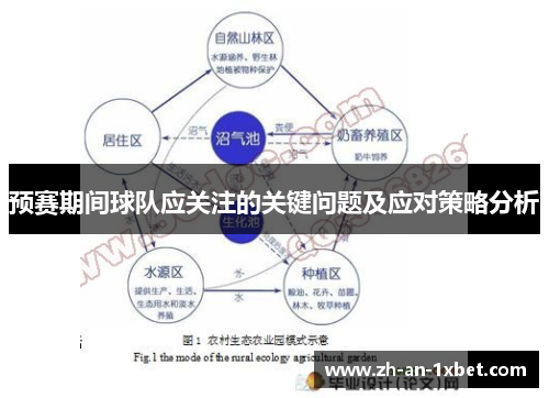 预赛期间球队应关注的关键问题及应对策略分析