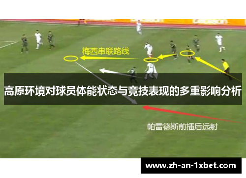 高原环境对球员体能状态与竞技表现的多重影响分析 高原环境对球员体能状态与竞技表现的多重影响分析