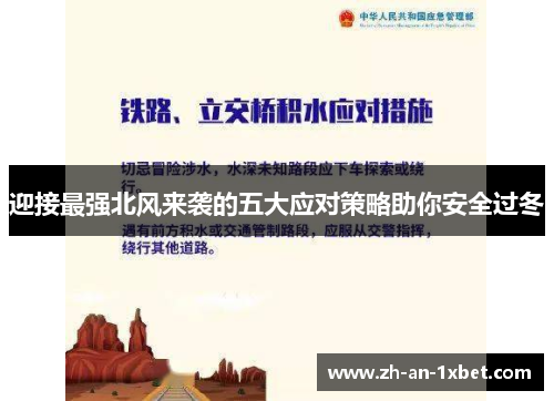 迎接最强北风来袭的五大应对策略助你安全过冬